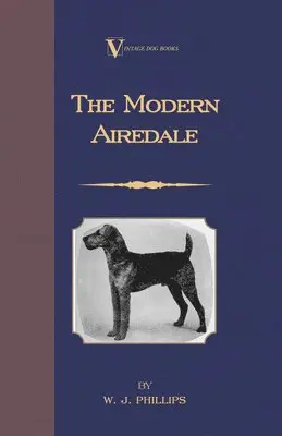 Modern Airedale Terrier