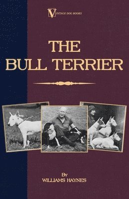 Williams Haynes - Bull Terrier (A Vintage Dog Books Breed Classic), Häftad