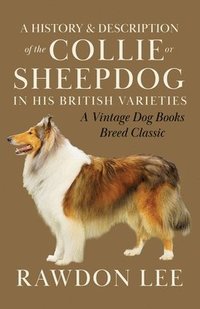 bokomslag A History and Description of the Collie or Sheepdog in His British Varieties (A Vintage Dog Books Breed Classic)