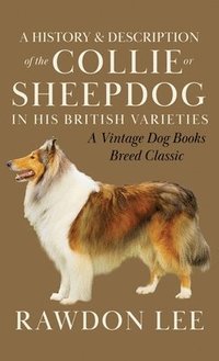 bokomslag A History and Description of the Collie or Sheepdog in His British Varieties (A Vintage Dog Books Breed Classic)