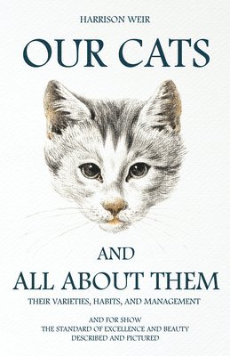 Our Cats And All About Them 1