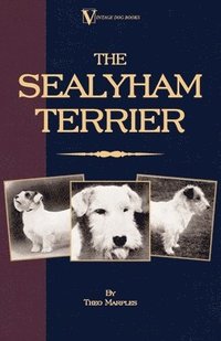 bokomslag The Sealyham Terrier - His Origin, History, Show Points and Uses As A Sporting Dog - How to Breed, Select, Rear, And Prepare For Exhibition