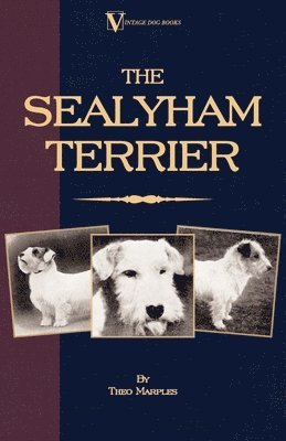 The Sealyham Terrier - His Origin, History, Show Points and Uses As A Sporting Dog - How to Breed, Select, Rear, And Prepare For Exhibition 1