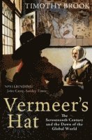 bokomslag Vermeer's Hat