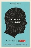 bokomslag Pieces of Light