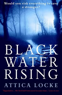 bokomslag Black Water Rising