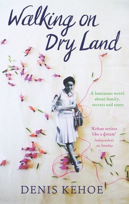 WALKING ON DRY LAND