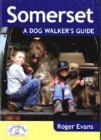 bokomslag Somerset a Dog Walker's Guide