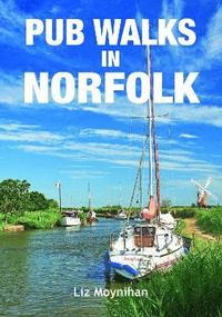 bokomslag Pub Walks in Norfolk