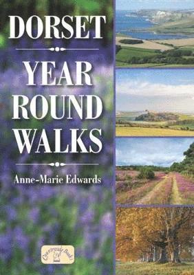 Dorset Year Round Walks 1