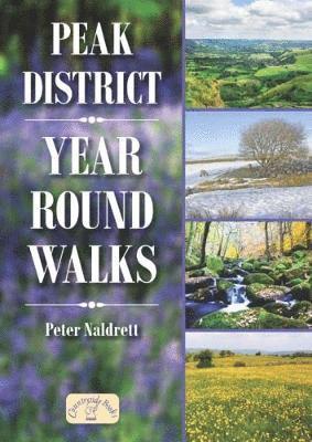 Peak District Year Round Walks 1