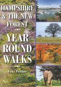bokomslag Hampshire & The New Forest Year Round Walks