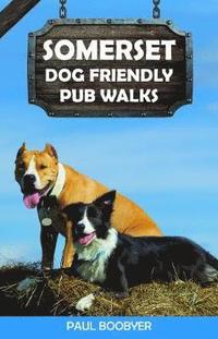 bokomslag Somerset Dog Friendly Pub Walks
