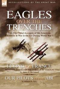 bokomslag Eagles Over the Trenches