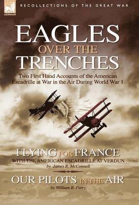 Eagles Over the Trenches 1