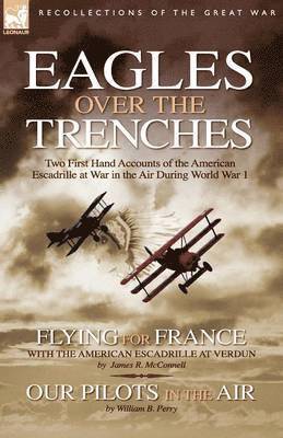 Eagles Over the Trenches 1