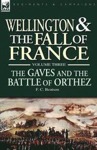 bokomslag Wellington and the Fall of France Volume III