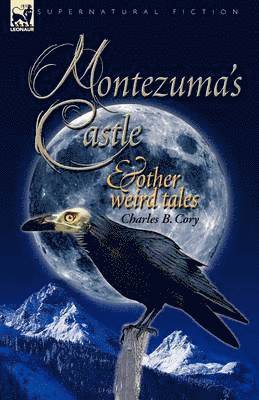 bokomslag Montezuma's Castle and Other Weird Tales