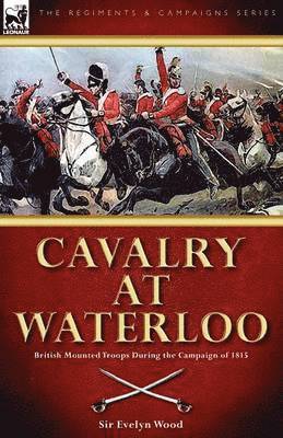 bokomslag Cavalry at Waterloo