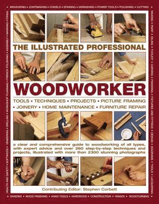 bokomslag Illustrated Professional Woodworker