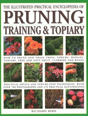 bokomslag The Pruning, Training & Topiary, Illustrated Practical Encyclopedia of