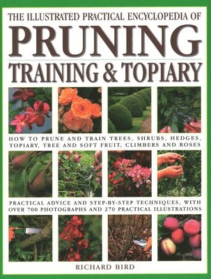 Richard Bird - Pruning, Training & Topiary, Illustrated Practical Encyclopedia of, Häftad