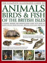bokomslag The Complete Illustrated Guide to Animals, Birds & Fish of the British Isles