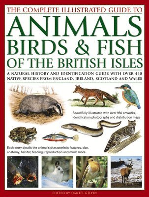 The Complete Illustrated Guide to Animals, Birds & Fish of the British Isles 1