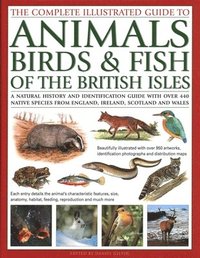 bokomslag Animals, Birds & Fish of British Isles, Complete Illustrated Guide to