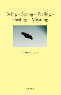 bokomslag Being - Seeing - Feeling - Healing - Meaning