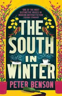 bokomslag The South in Winter