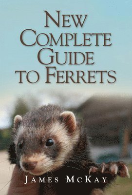 New Complete Guide to Ferrets