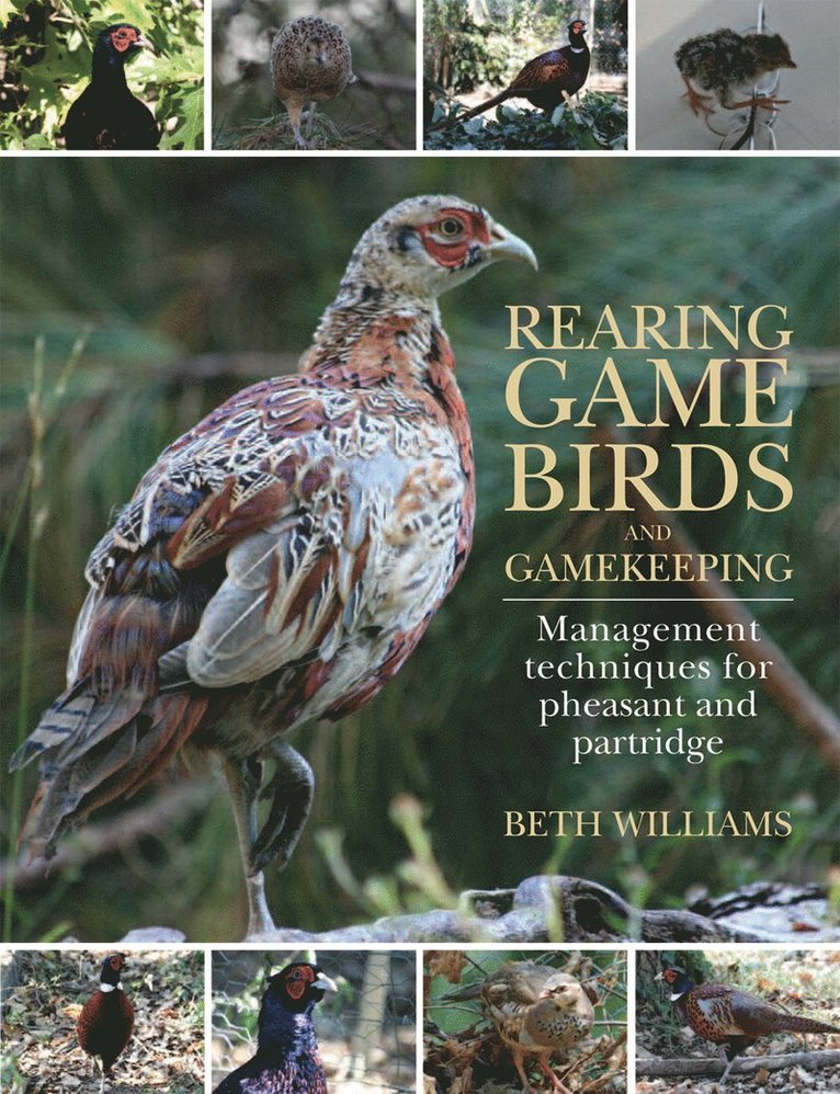Beth Williams - Rearing Game Birds and Gamekeeping, Inbunden