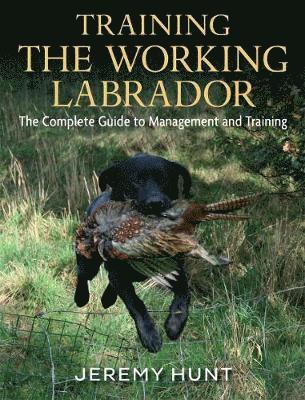 Training the Working Labrador