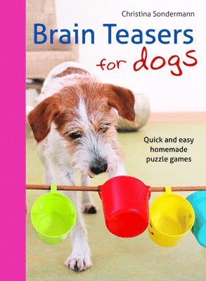 bokomslag Brain teasers for dogs