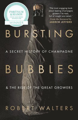 bokomslag Bursting Bubbles