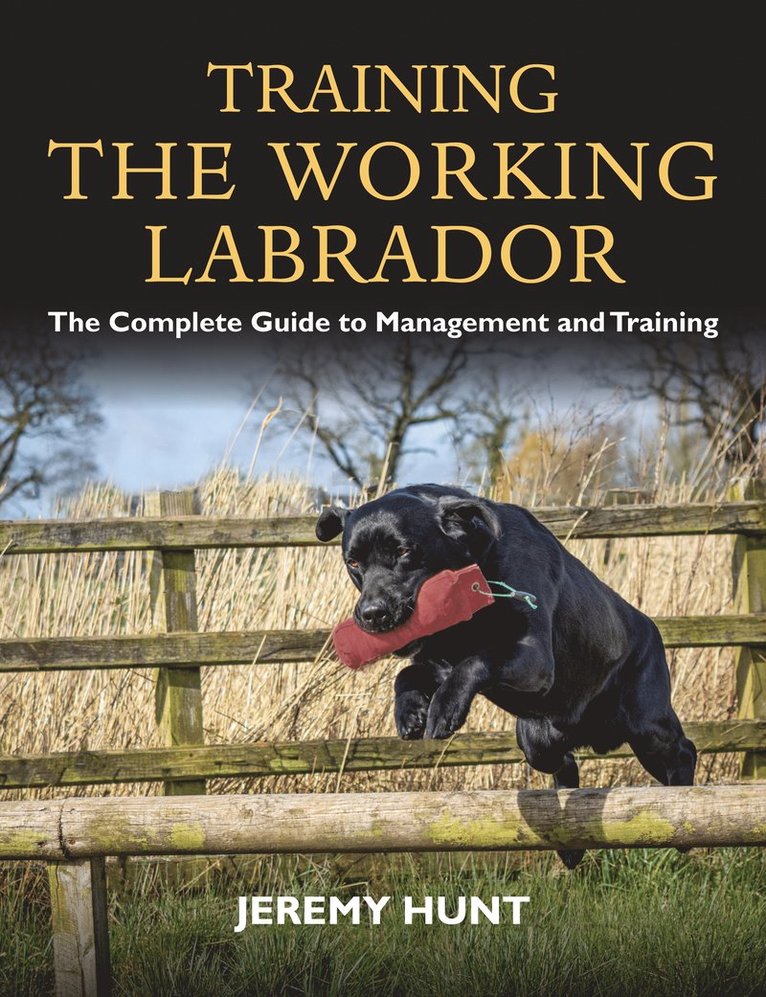 Training the Working Labrador