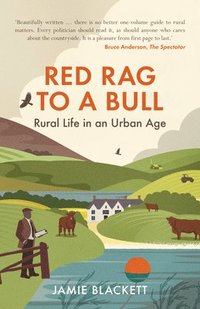 bokomslag Red Rag To A Bull