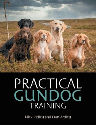 bokomslag Practical Gundog Training