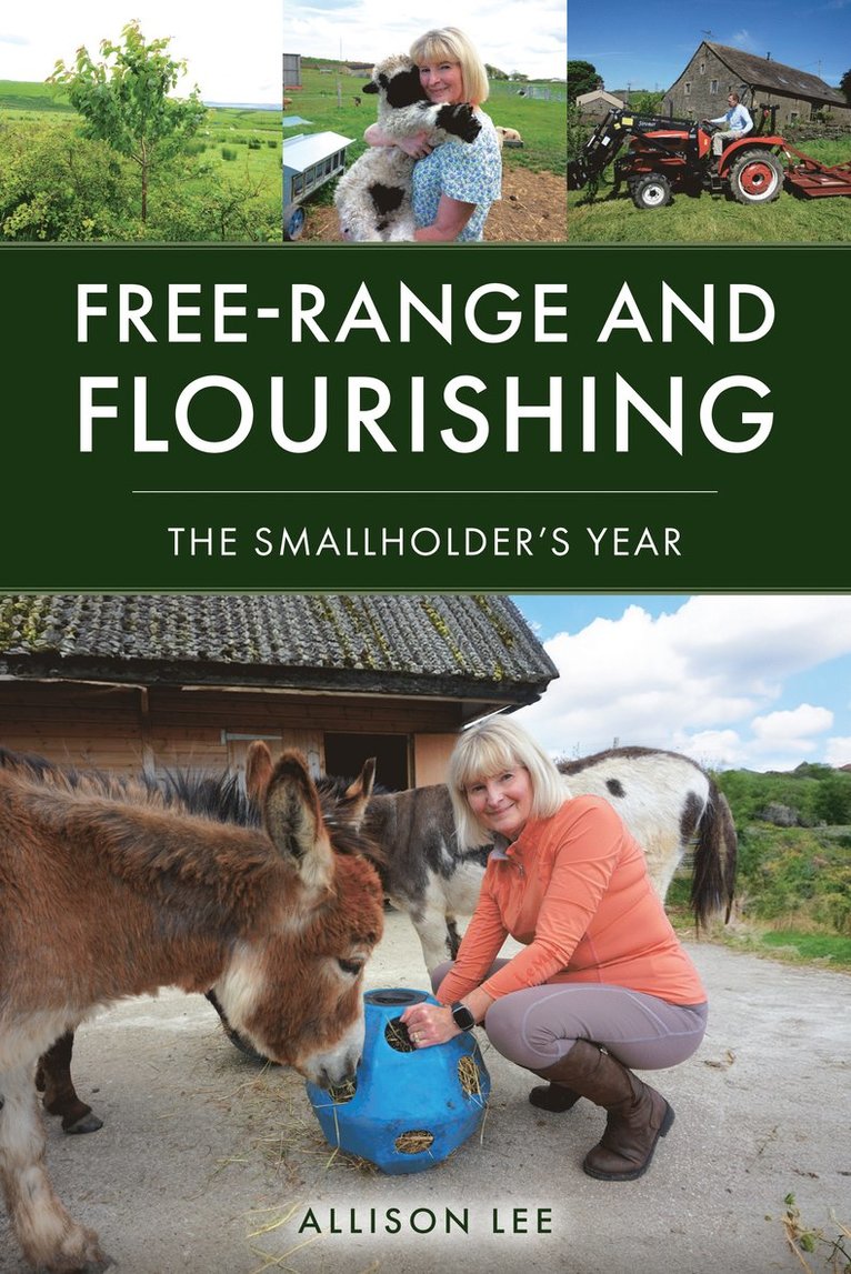 Allison Lee, Alison Lee - Free-Range and Flourishing, Häftad