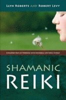 bokomslag Shamanic Reiki - Expanded Ways of Working with Universal Life Force Energy