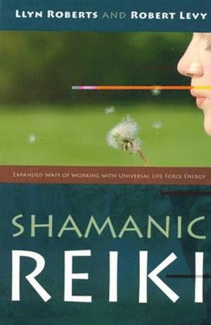 Shamanic Reiki  Expanded Ways of Working with Universal Life Force Energy 1