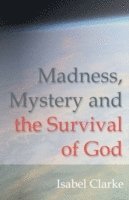 bokomslag Madness, Mystery and the Survival of God