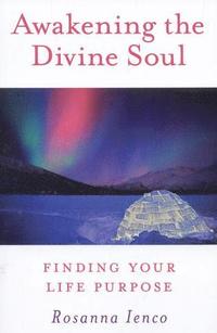 bokomslag Awakening the Divine Soul - Finding Your Life Purpose