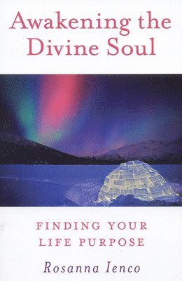 bokomslag Awakening the Divine Soul - Finding Your Life Purpose