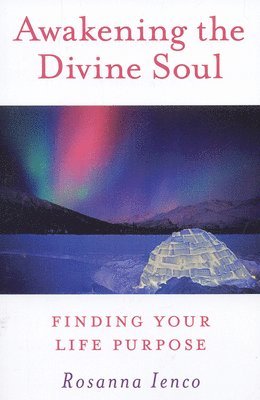 bokomslag Awakening the Divine Soul  Finding Your Life Purpose