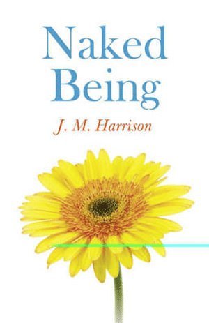 bokomslag Naked Being - Undressing Your Mind, Transforming Your Life