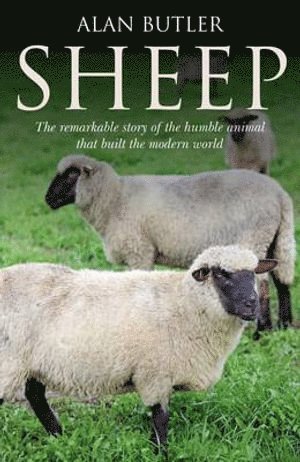Alan Butler - Sheep – The remarkable story of the humble animal that built the modern world., Häftad