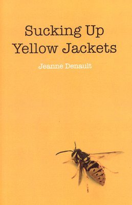 Sucking Up Yellow Jackets  Raising an undiagnosed Asperger Syndrome son obsessed with explosives 1