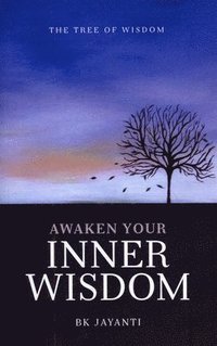 bokomslag Awaken Your Inner Wisdom